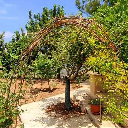 Olive Grove Gæstehus