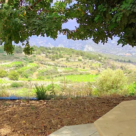 Guest house Olive Grove