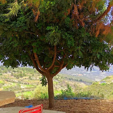 Olive Grove Guest house