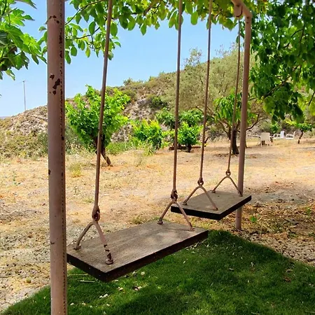 Olive Grove * Kouka
