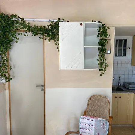 Olive Grove Guest house *