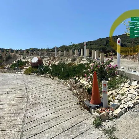 Olive Grove Guest house 3*