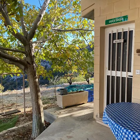 Guest house Olive Grove 3*