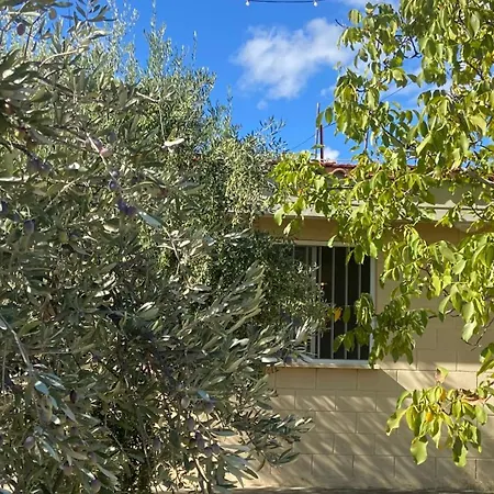 Guest house Olive Grove